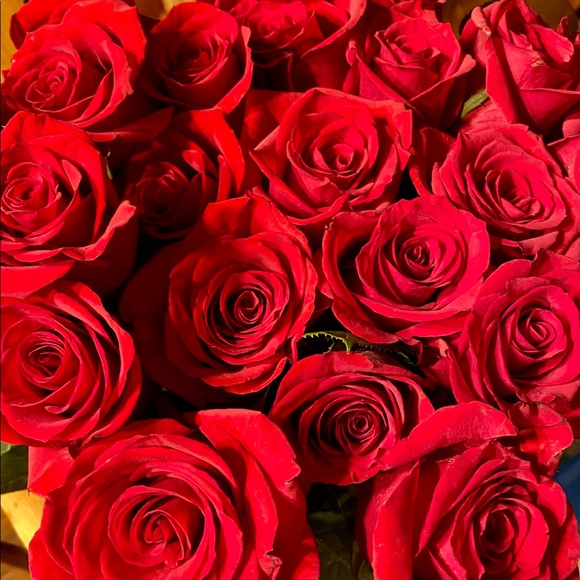 Meet your Posher, Jennifer - Picture 2 of 2